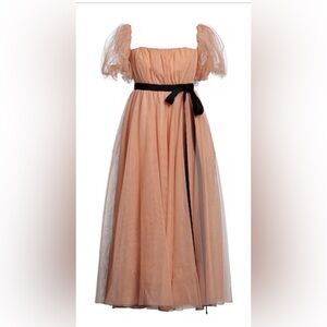 Pinko Drupa Off Shoulder Tulle Dress - 40